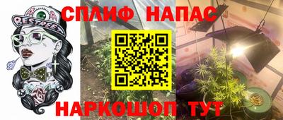 прущие грибы Жуковский