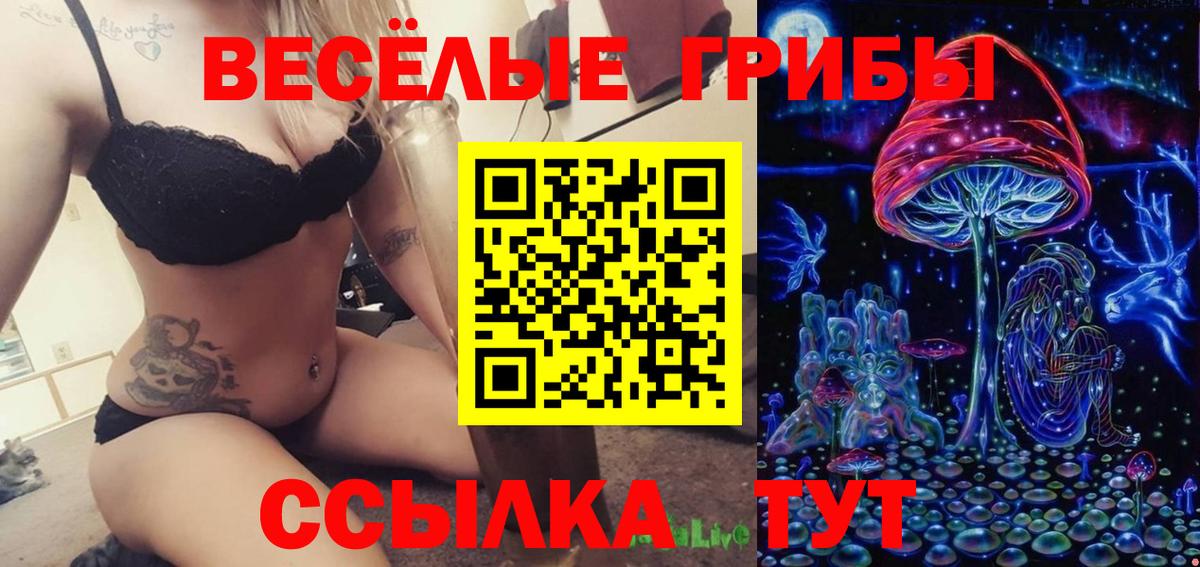 Псилоцибиновые грибы Psilocybe  Вход с VPN  Донецк 
